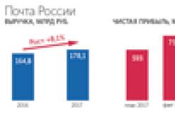 Državni deleži - vrednostni papirji, katerih podjetja pripadajo Ruski federaciji Metode državne udeležbe